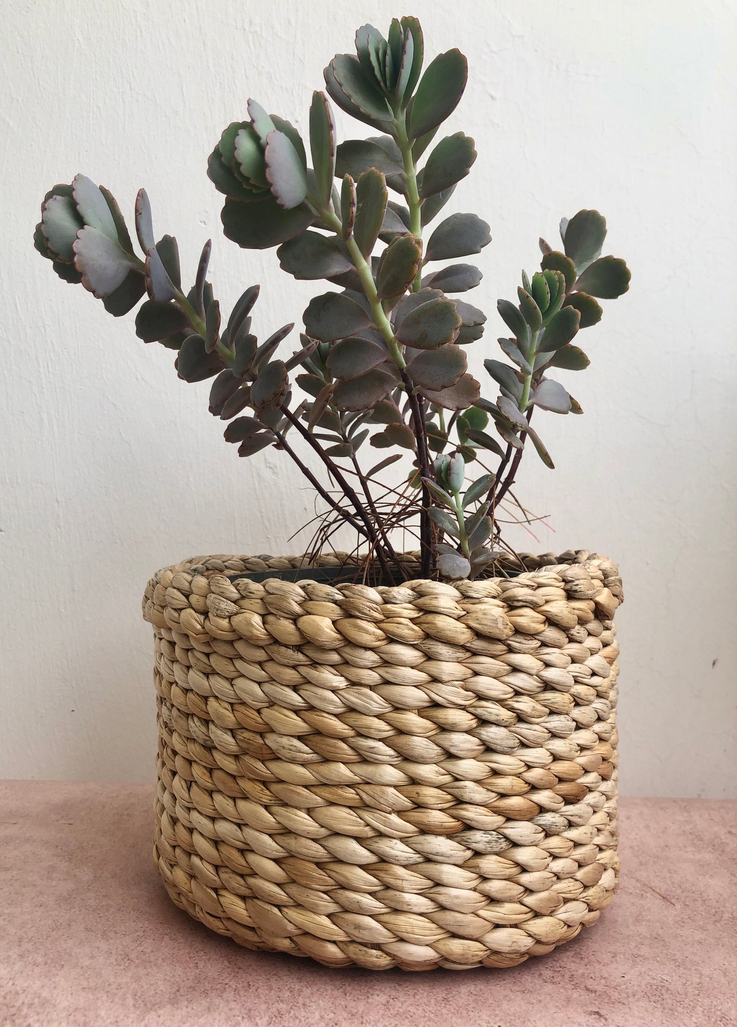 Natural Fibre Planter